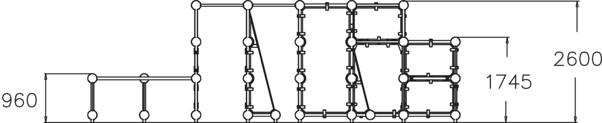 SPIDER CAGE L