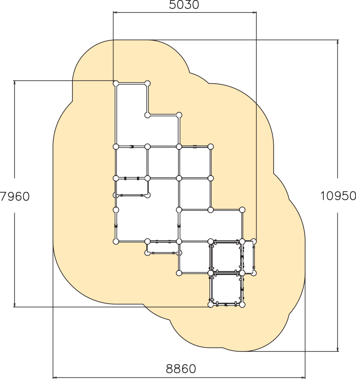 SPIDER CAGE L
