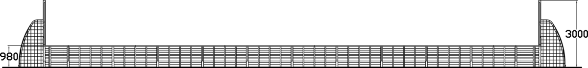 ACE ARENA 11X22