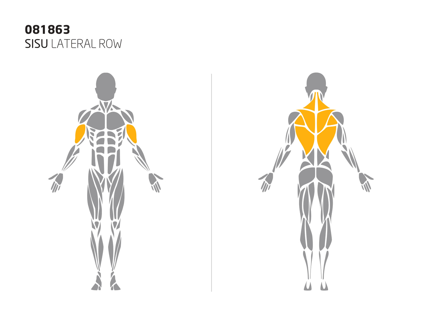 SISU LATERAL ROW