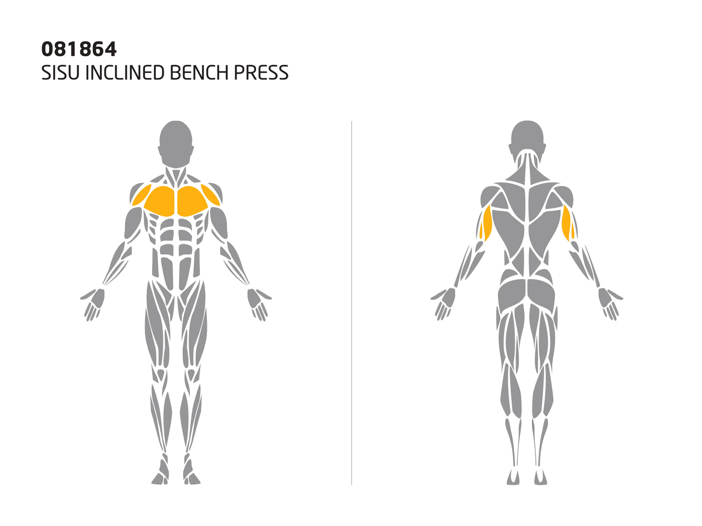 SISU INCLINED BENCH PRESS