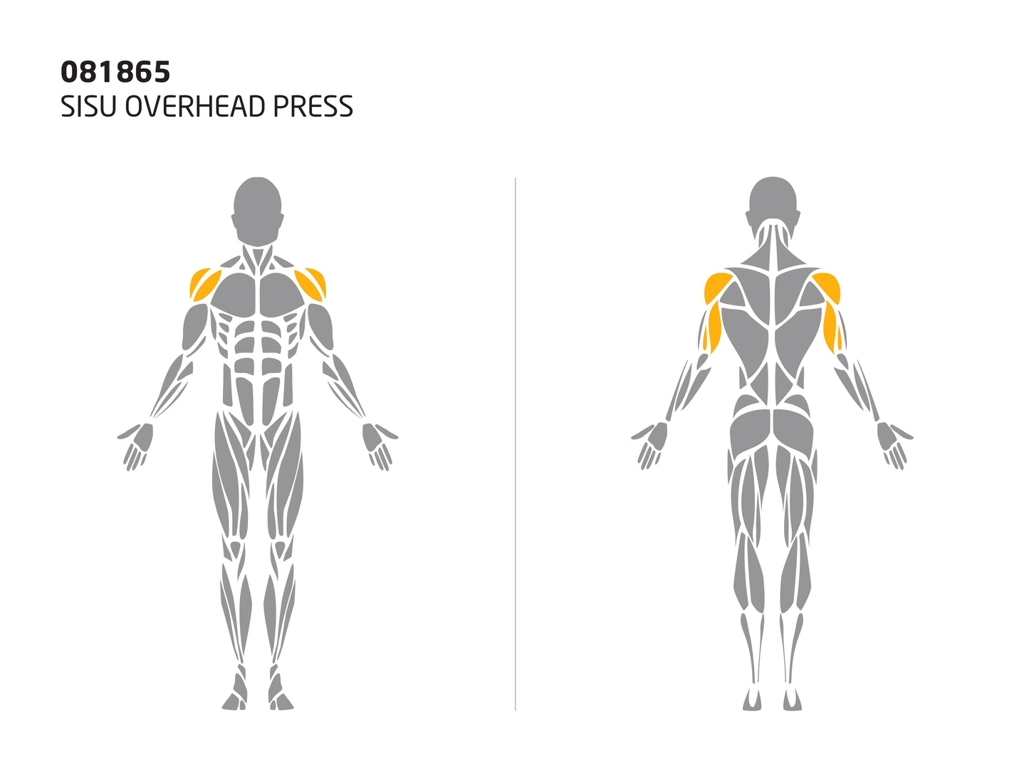 SISU OVERHEAD PRESS