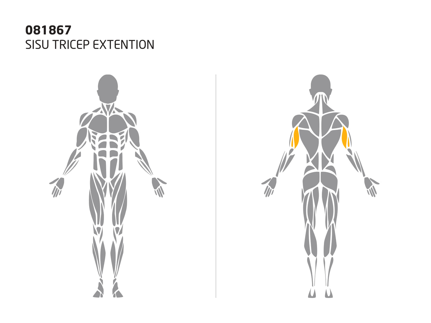 SISU TRICEP EXTENSION