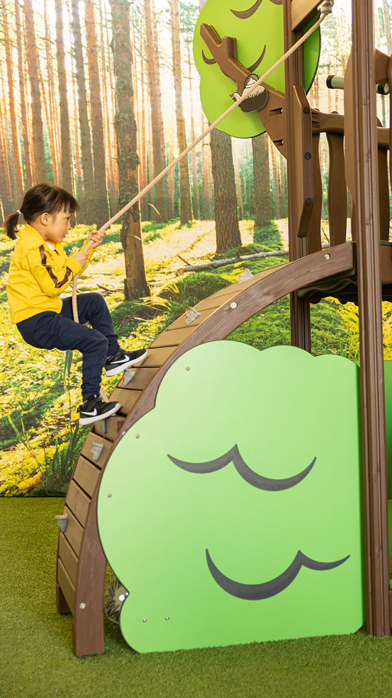 SNUSMUMRIKENS SKOG