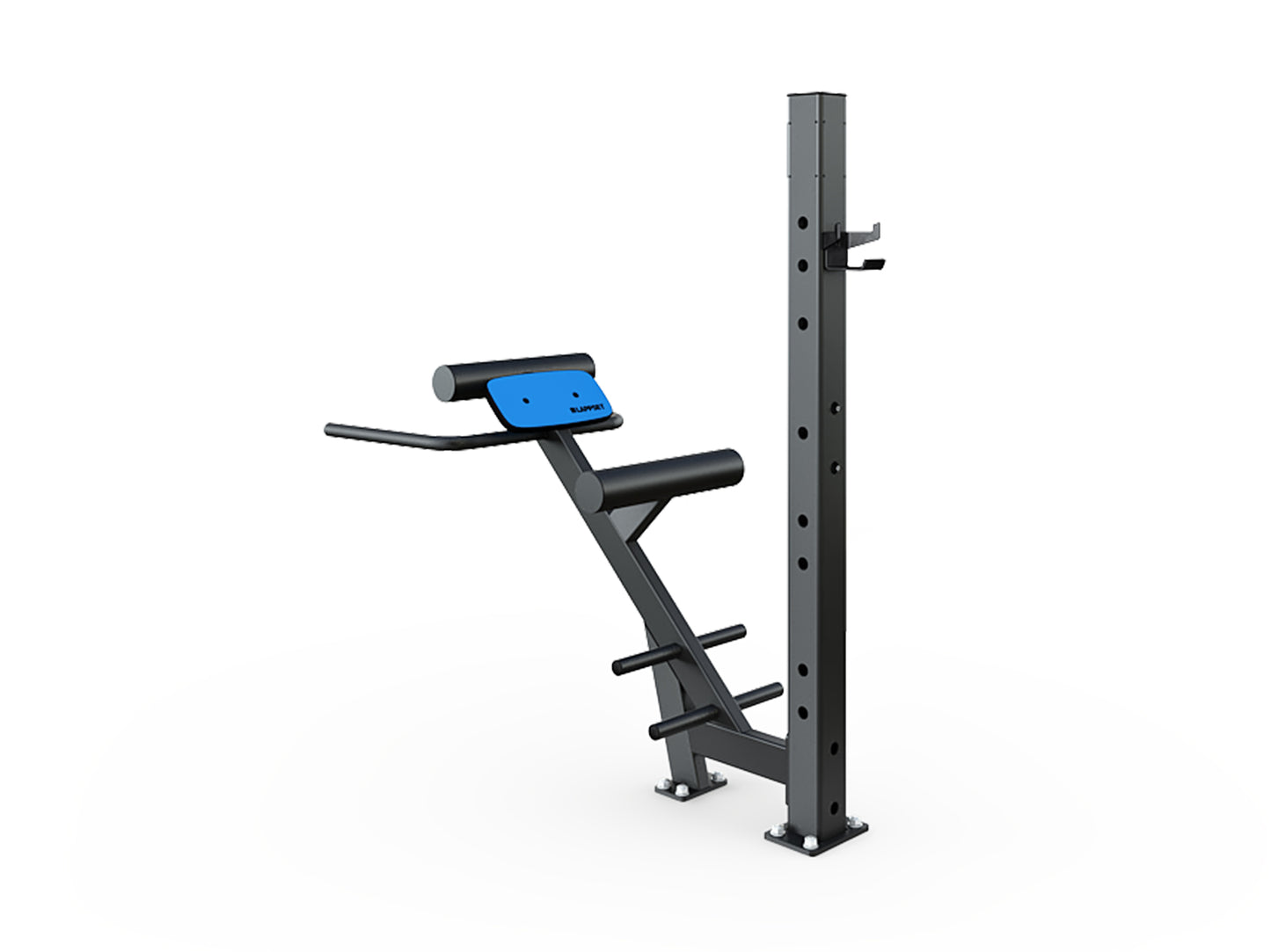 SISU BACK EXTENSION BODYWEIGHT