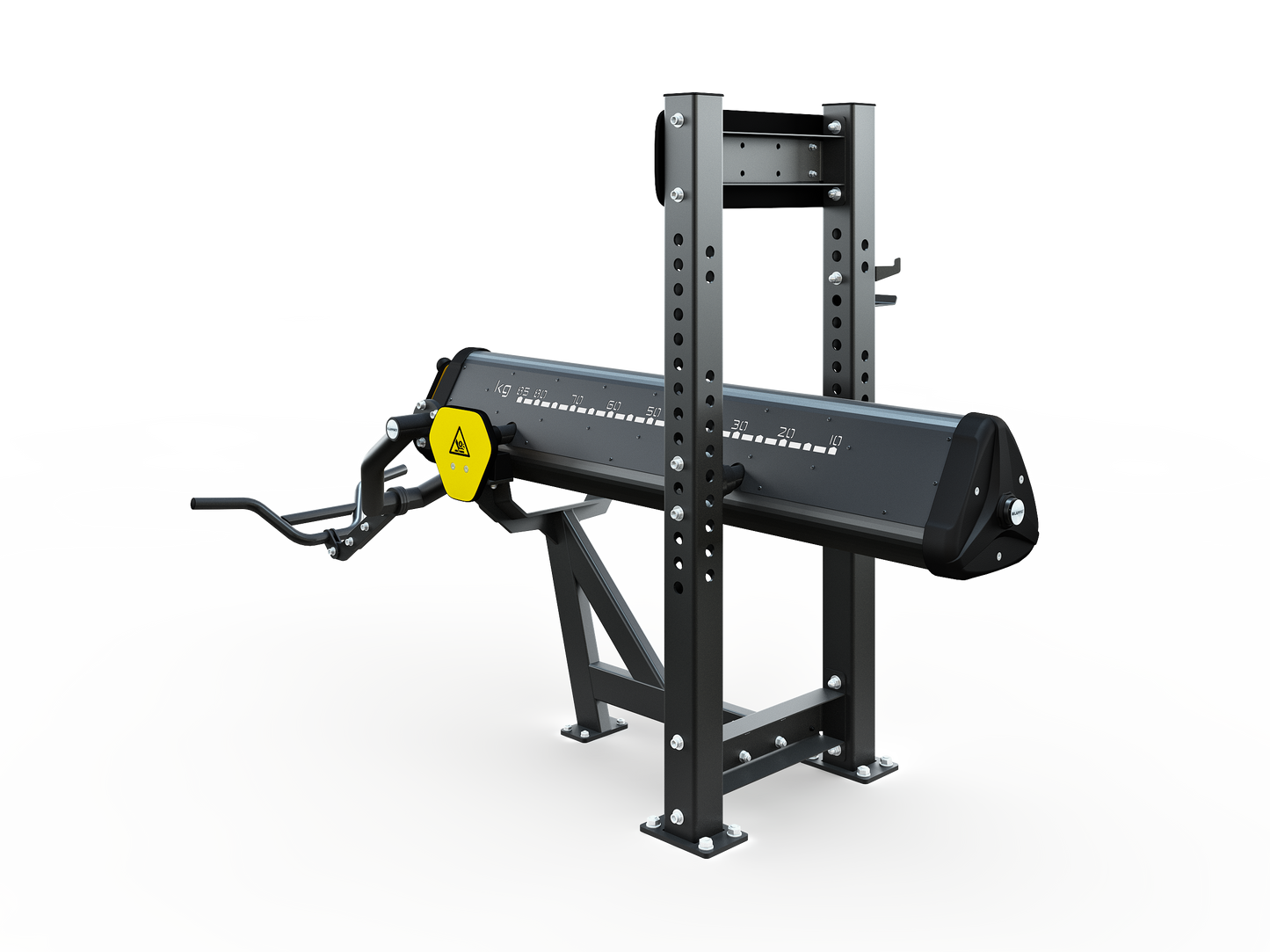 SISU BICEP CURL