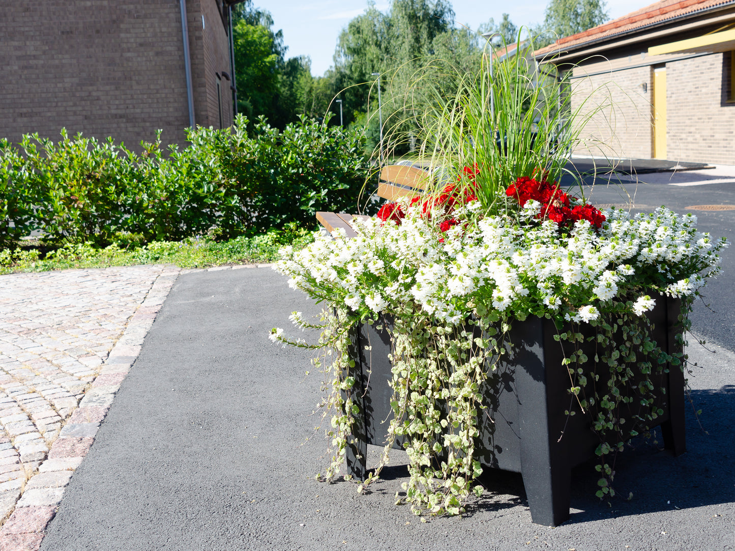 Blomlåda Flox Hög