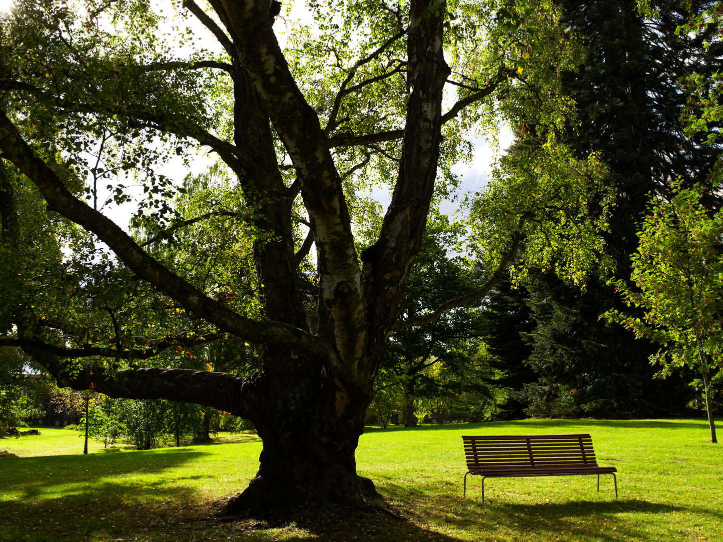 Parksoffa Stockholm