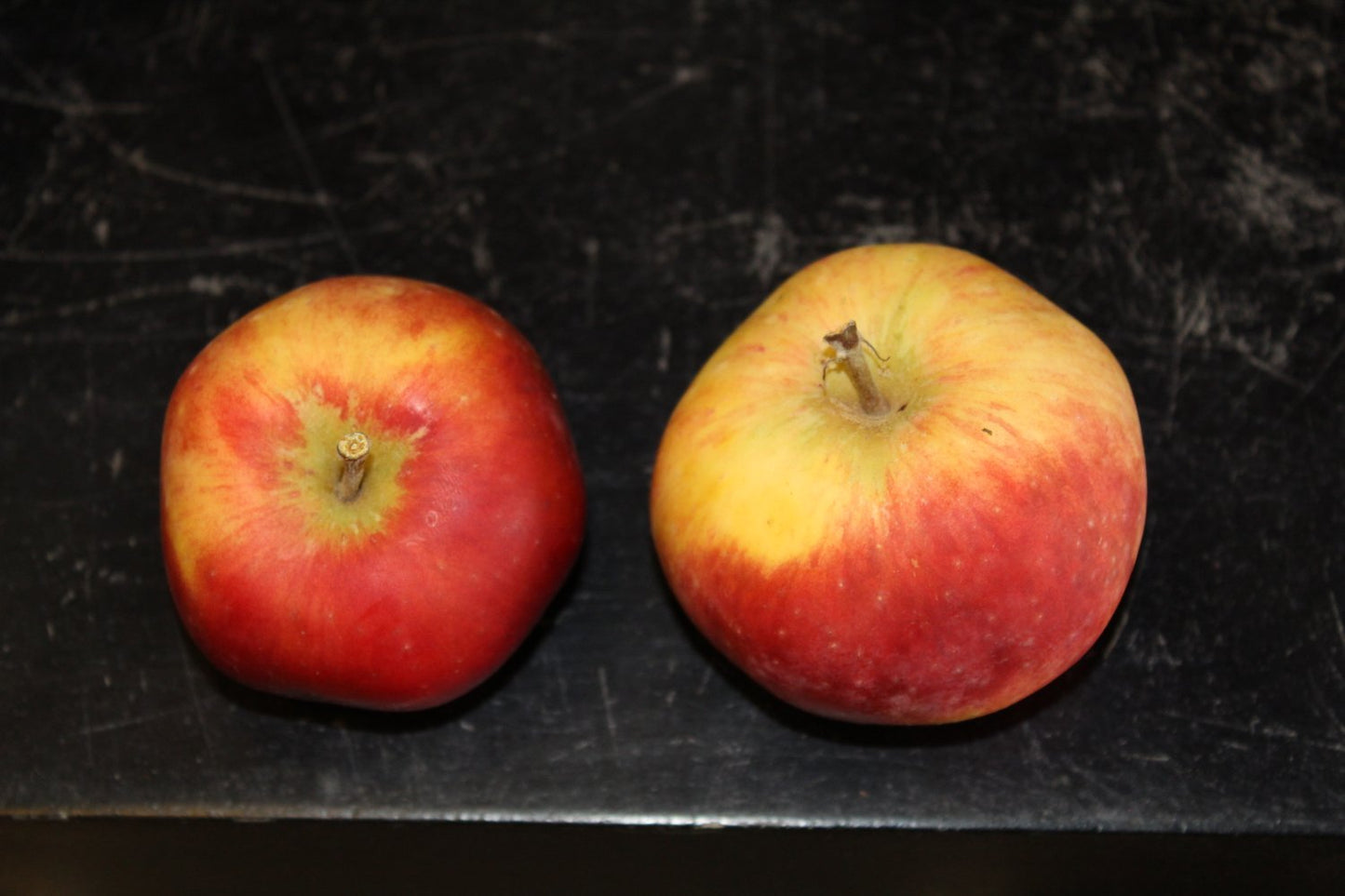 Malus domestica 'Alice', (äpple)