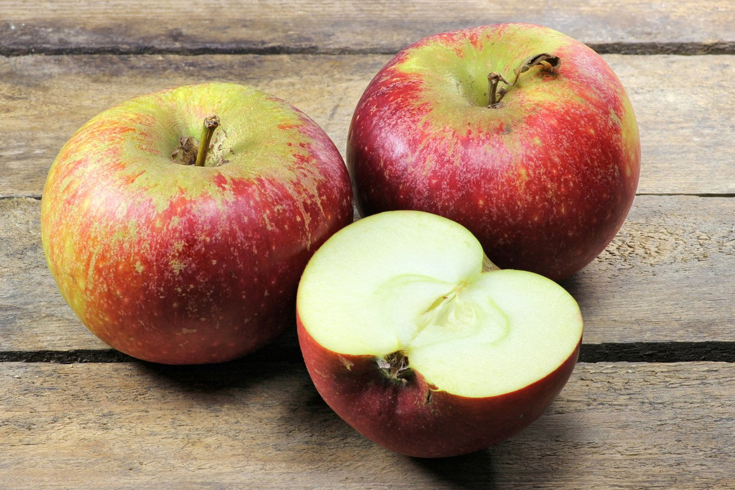 Malus domestica 'Ingrid Marie' E, (äpple)