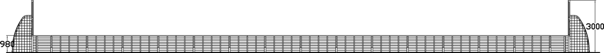 ACE ARENA 15X30