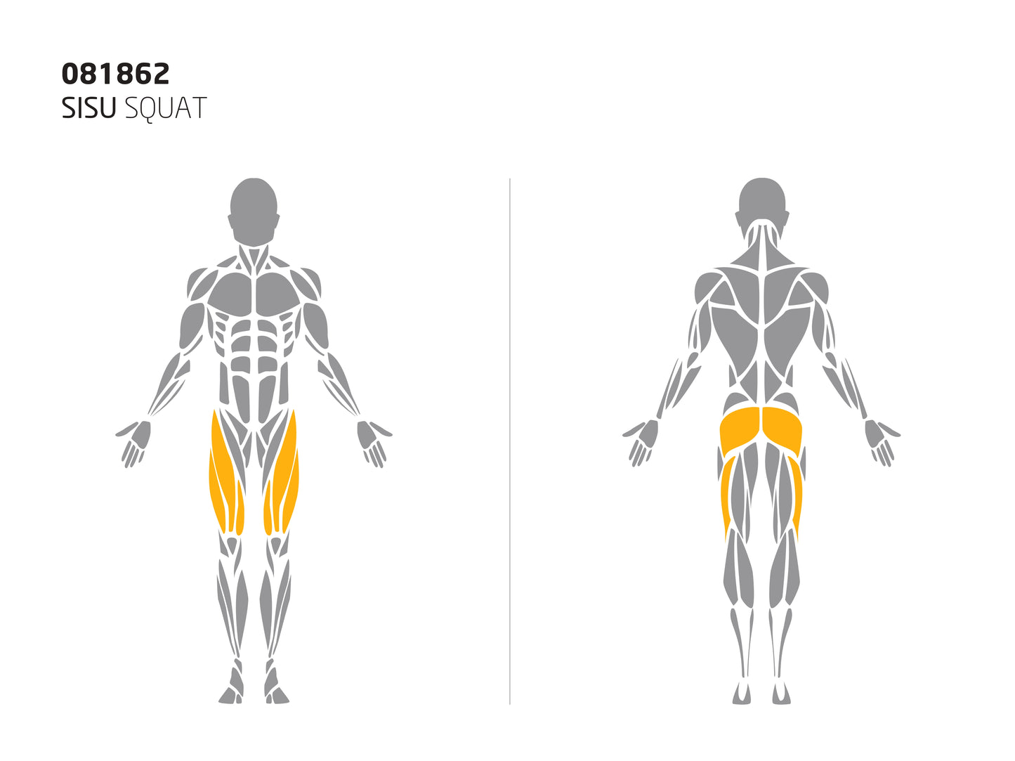 SISU SQUAT
