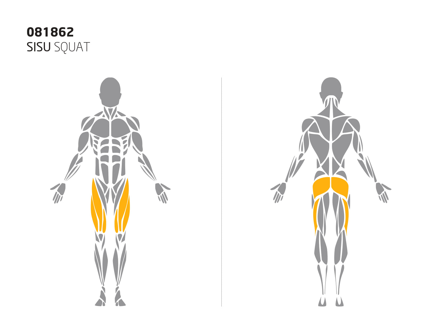 SISU SQUAT