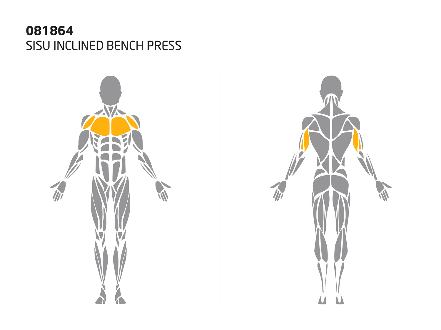 SISU INCLINED BENCH PRESS