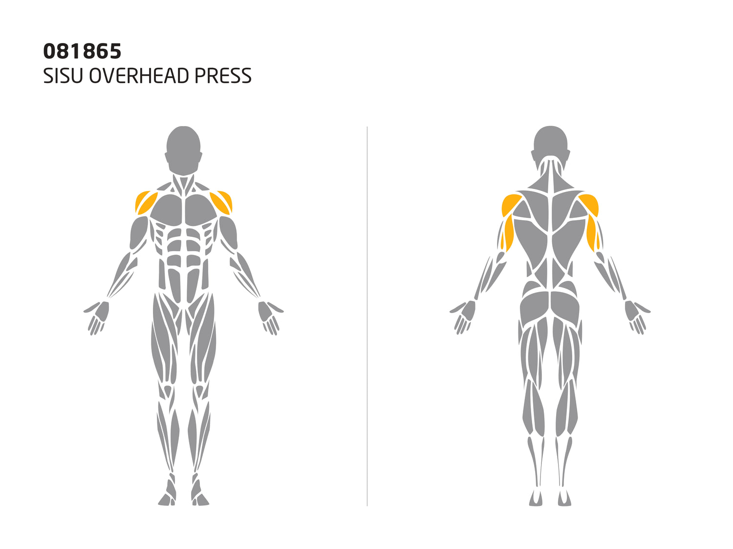 SISU OVERHEAD PRESS