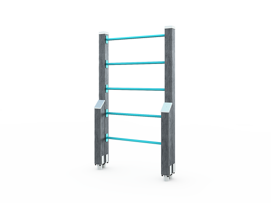 LADDERS