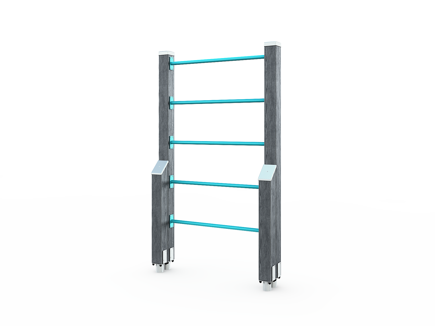 LADDERS