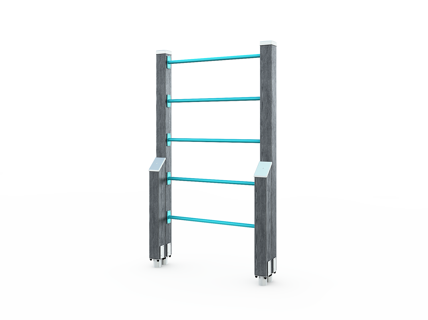 LADDERS