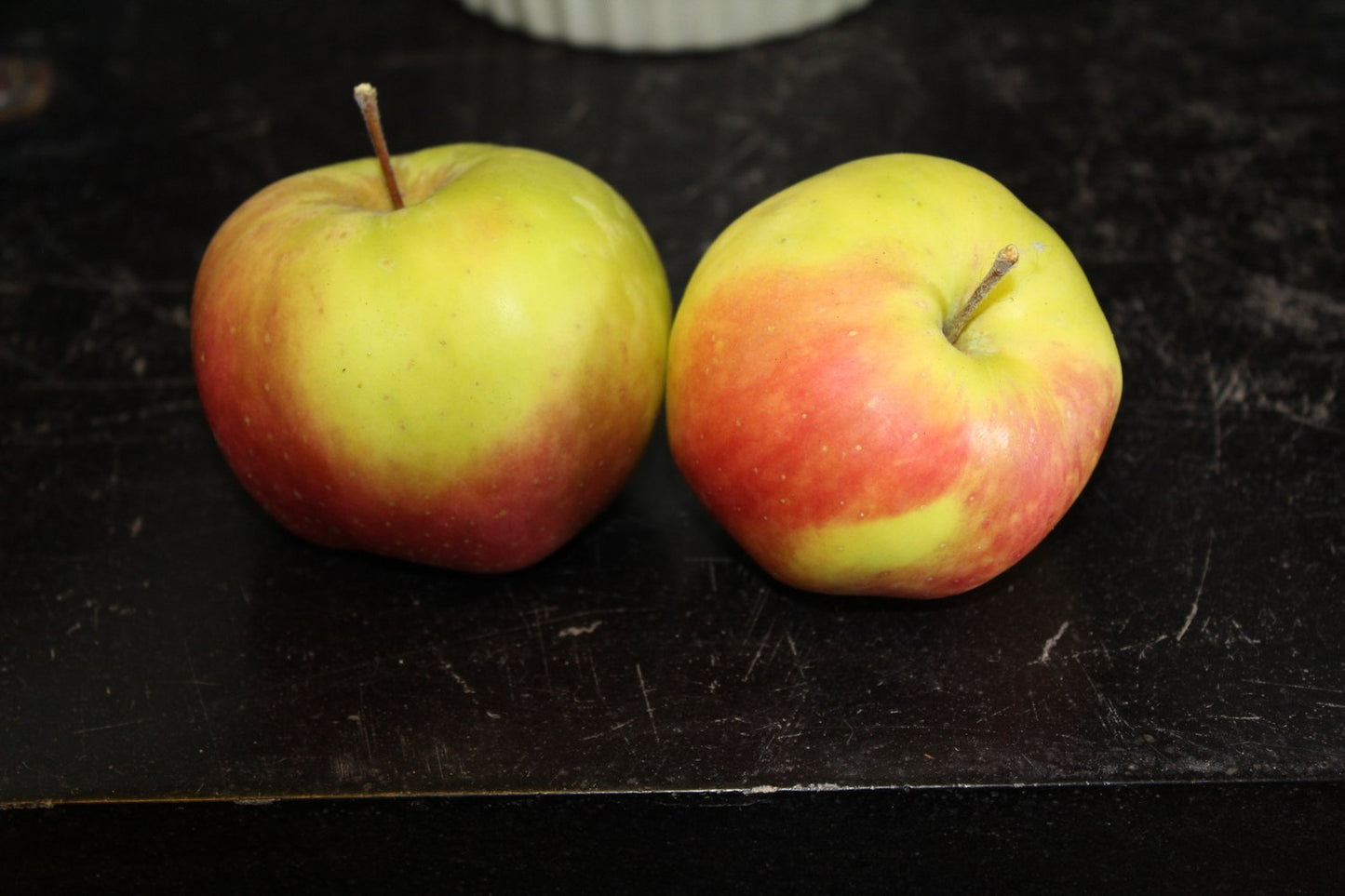 Malus domestica 'Filippa' E, (äpple)
