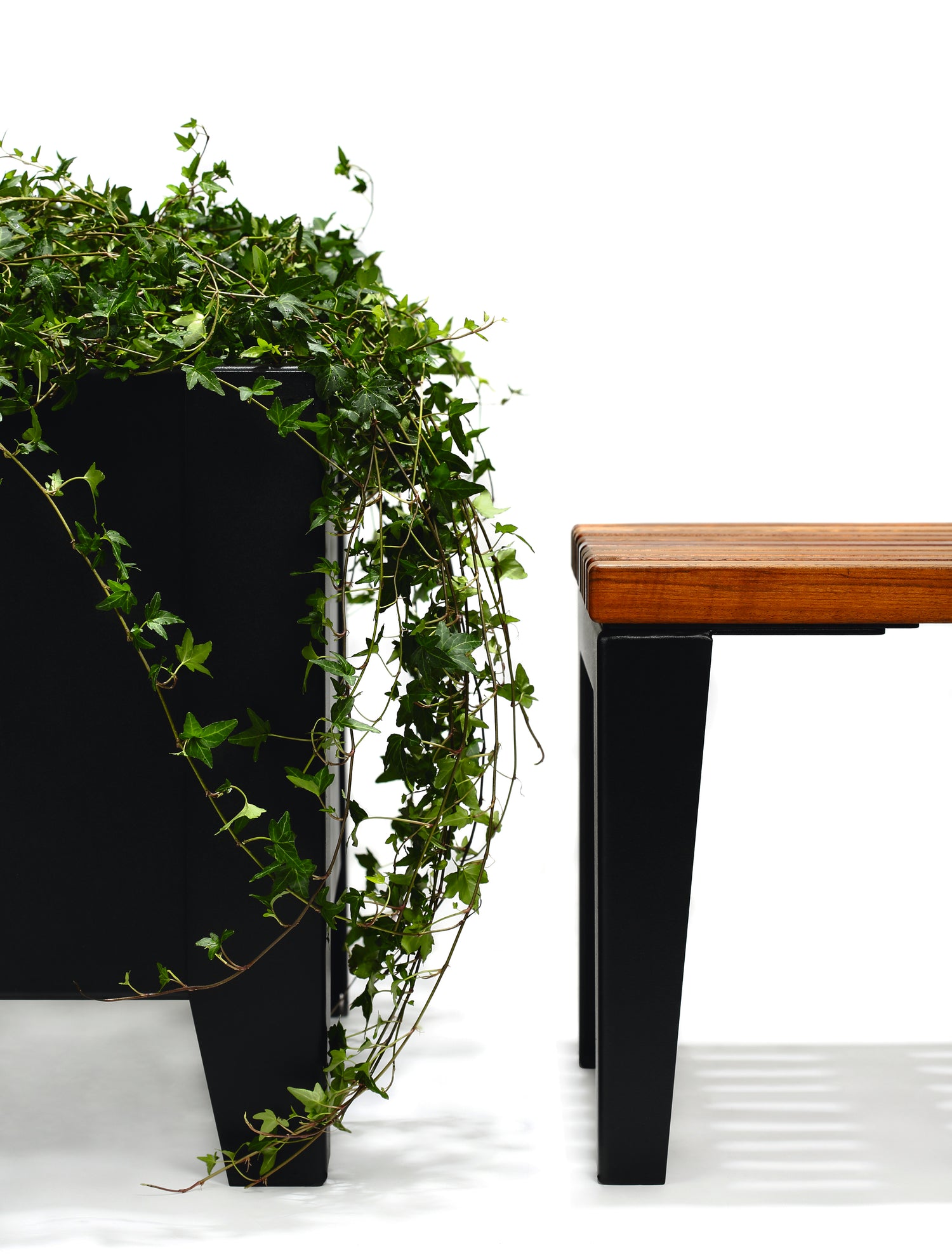 Blomlåda Flox Hög