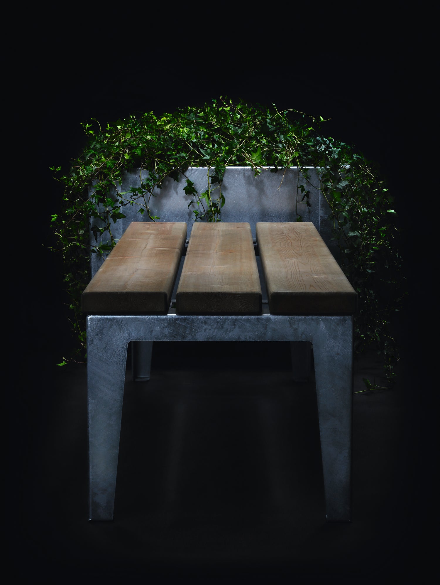 Blomlåda Flox Hög