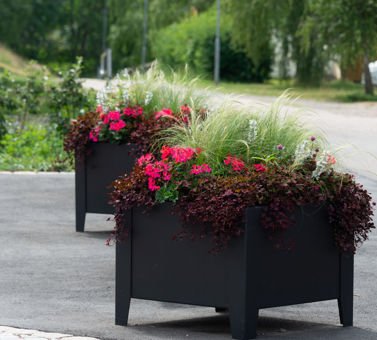 Blomlåda Flox Låg