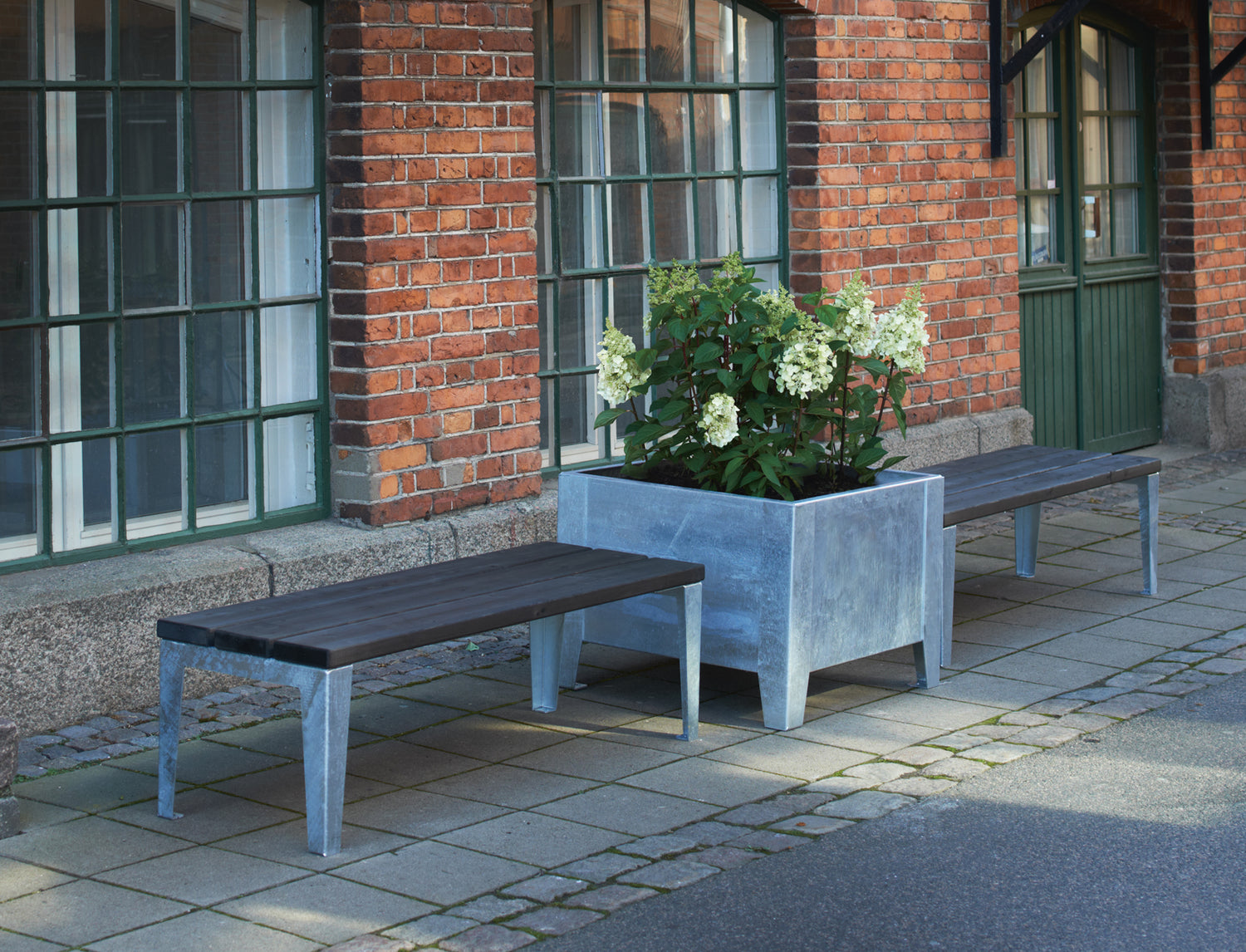 Blomlåda Flox Låg