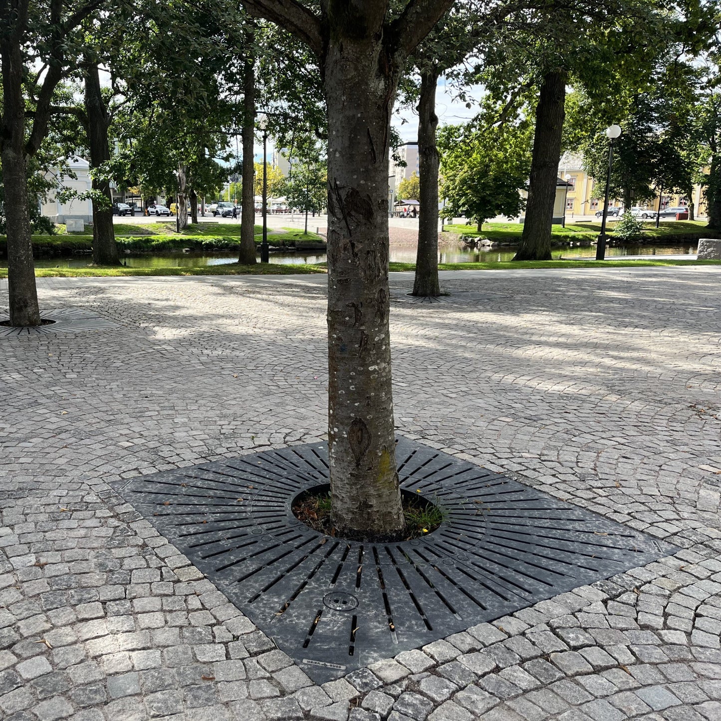 Markgaller Klassiskt