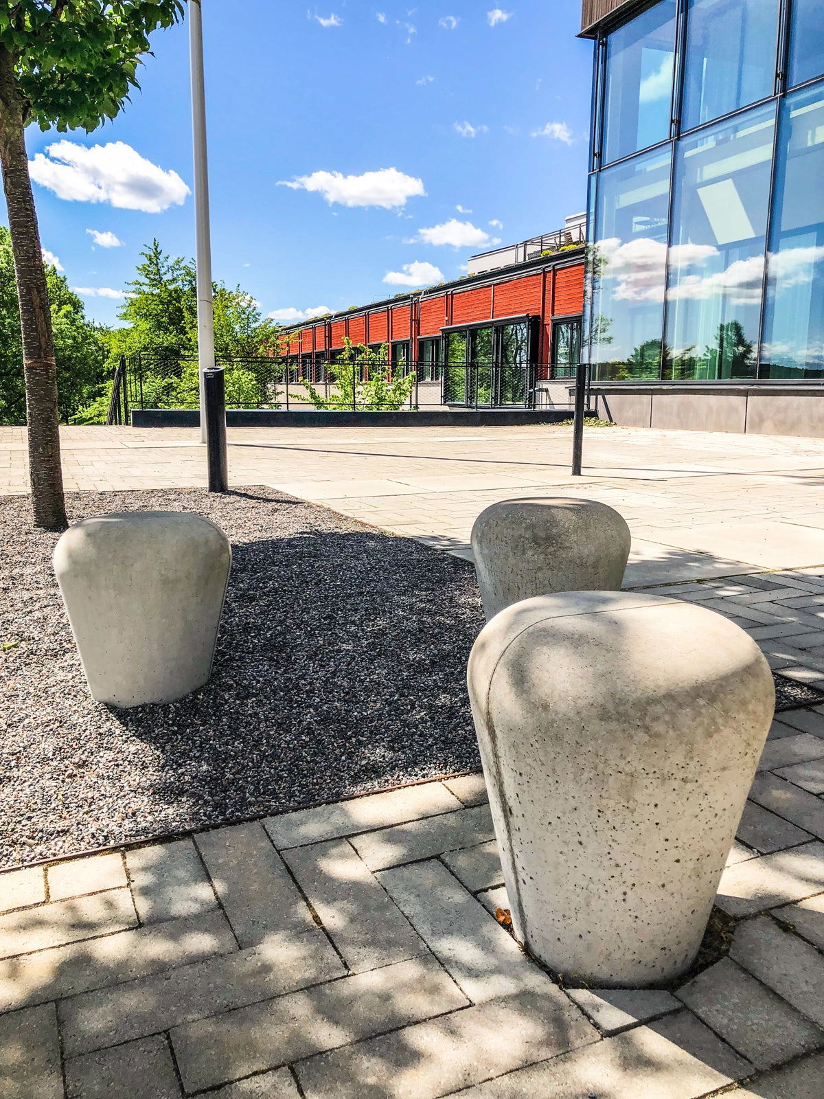 Svampen sittpollare